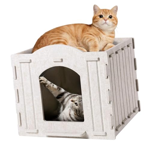 Plateforme anti-rayures pour chat actif plateau permanent durable