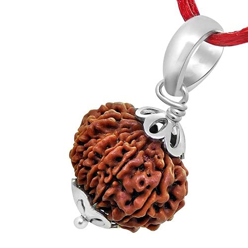 WorldwideGems Natural 13 Mukhi Rudraksha Original Certified Nepali Bead Pure Terah Mukhi Rudraksha Tera Mukhi Rudraksha 13 Face Rudraksha Thirteen Mukhi तेरह मुखी रुद्राक्ष 13 मुखी रुद्राक्ष