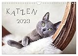 PERFEKTES GESCHENK - für Freunde und Familie, jung und alt, zu Weihnachten, Geburtstag oder zwischendurch.