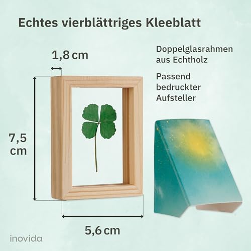 Inovida Inovida Kleine Glücksbringer: Echtes vierblättriges Kleeblatt zum Verschenken im Holzrahmen – Kleines Geschenk für Glück – Aufmunterung Geschenke – Dankeschön Geschenke Klein – Glücksbringer Prüfung - Produktansicht 3 | TV | Video | Foto