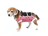 E-Collar Alternative for Cats and Dogs Designed to Protect Abdominal Wounds and Skin Disease. Award
