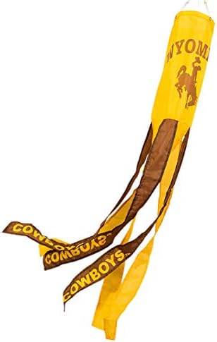 College Flags & Banners Co. Wyoming Windsock