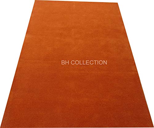 Image of Classical Look Plain Handmade Carpet with Super Soft & Pure Woolen Carpet for Your BEDROOMS & Living Room with 1 INCH Pile Height 10 X 15 FEET (300x450 cm)