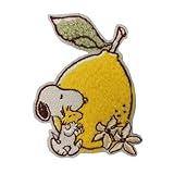 PN フルーツワッペン（大）レモン S02Y2968