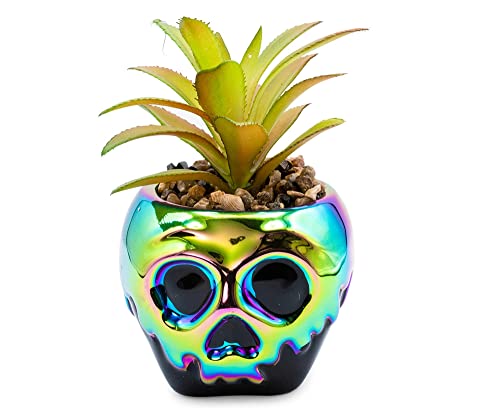 Disney Villains Poison Mini Pot de Fleurs en céramique avec Plantes Grasses artificielles