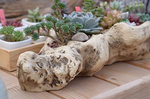 Artificial Driftwood Planter Sculpture Resin Succulent Planter Rustic Cactus Container Flower Pot Driftwood Trunk Stump Log Decorative Planter Pot (A) #TOP5
