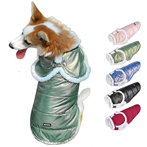Aiitle Waterproof Dog Vest Coat - Christmas Pearlescent Fabric Dog Jacket - Cloak Design Dog Vest Winter Coat - Cold Weather Dog Clothes For Small Medium Large Dogs For Indoor And Outdoor Use Green Xs #TOP24