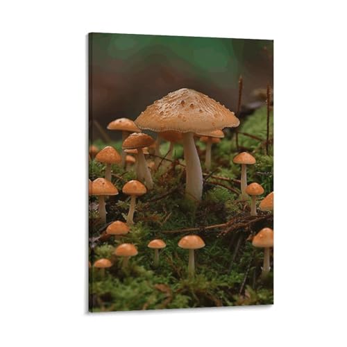 Poster champignon sauvage HEBVNJF en impression sur toile artistique