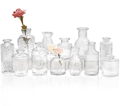Set of 12 Glass Bud Vases-Small Vases for Flowers-Mini Bud Vases in Bulk -Vintage Vases for Centerpieces Tables Wedding and Home Decor(12pcs/Clear)