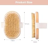 Blendura Trockenbürste Körperbürste Dry Brush Natürliche Borsten Badebürste zum Entfernen abgestorbener Haut, Peeling Bürste