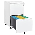 Letaya 2 Drawer Mobile File Cabinet with Lock,Under Desk Metal Filing Cabinets for Home Office Organizer Letters/Legal/A4(Fully Assembled-White)