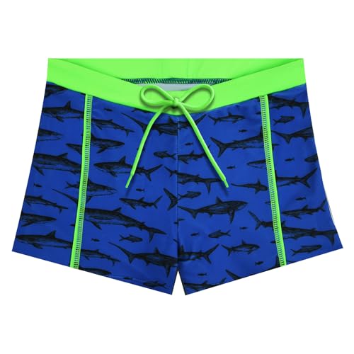 AYESY Short de Bain pour Garçon, Requin Maillot de Bain Vintage Enfant, Boxer Shorts, Impression Séchage Rapide Plage Maillots de Bain de 13 à 14 Ans...