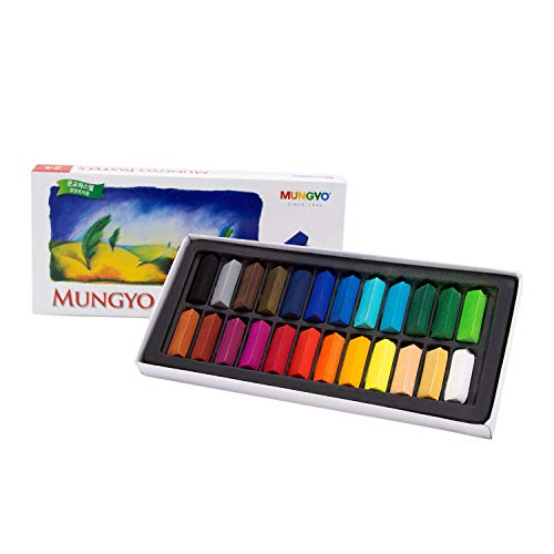 Pastels secs Mungyo coffret de 24 craies carrées et crayons pastels pour dessin artistique