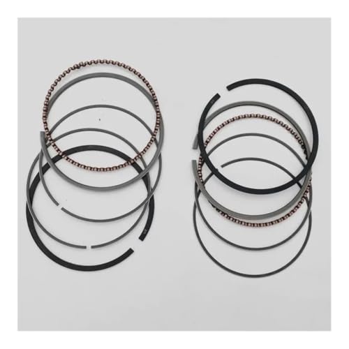 oCNpsXgOLbg V_[wbhx[XKXPbg GW250 GSX-R250 GSX250R DL250p(2 pcs ring only)