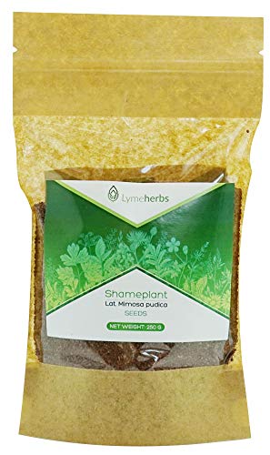 Mimosa Pudica Semi Secchi, 250G