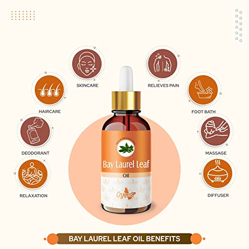 Image of Crysalis Bay Laurel Leaf (Laurus Nobilis) Oil|100% Pure & Natural Undiluted Essential Oil Organic Standard For Skin & Hair Care|Therapeutic Grade Oil- 15ml with dropper
