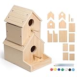 SainSmart Jr. Bird House 2-Story, Wooden Birdhouse Kids Woodworking Kit with Brushes and Paint - DIY Woodcraft Building Projects for Kids and Adults - STEM Teaching Tools, Ideal Gift for Boys & Girls