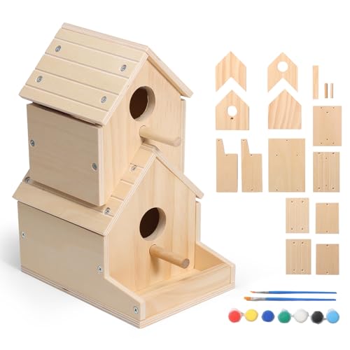 SainSmart Jr. Bird House 2-Story Wooden Birdhouse Kids Woodworking Kit with Brushes and Paint - DIY Woodcraft Building Projects for Kids and Adults - STEM Teaching Tools Ideal Gift for Boys & Girls