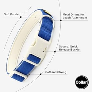   Plutus-Pet-Cotton-Dog-Collar-Heavy-Duty-Collar-with-Soft-Padding-Adjustable-and-Comfortable-for-Small-Medium-and-Large-Dogs-Royal-Blue-L