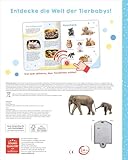 Mein großes Geräuschebuch – Tierbabys: Mit 43 Sounds | Hochwertiges Soundbuch mit realistischen Sounds für Kinder ab 24 Monaten