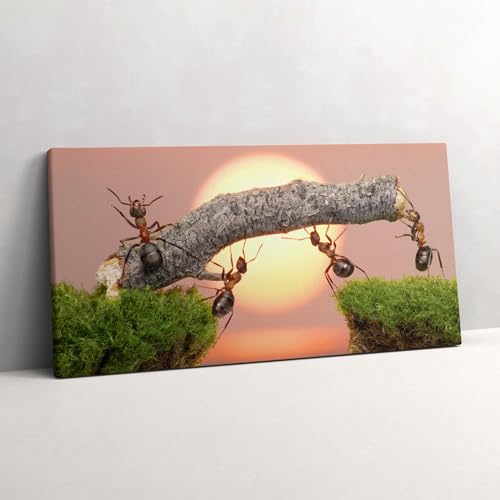 Tableau photo sur toile pour habiller un grand mur vide tableau nature 120x60