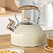 Choxila Stovetop Tea Kettle - 2.1 Quart Whistling Tea Pot for Stove Top, Premium Stainless Steel Teapot for All Stovetops | Elegant Design & Heat-Resistant Handle