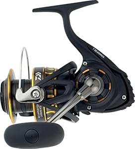 Daiwa BG 4000 Meeresrolle