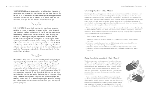 Practicing Liberation Workbook: Radical Tools for Grassroots Activists, Community Leaders, Teachers, and Caretakers Working Toward Social Justice - Image 5