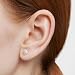 TOUS Bear - Pendientes de Plata sobre Perlas Cultivadas 0,6 cm
