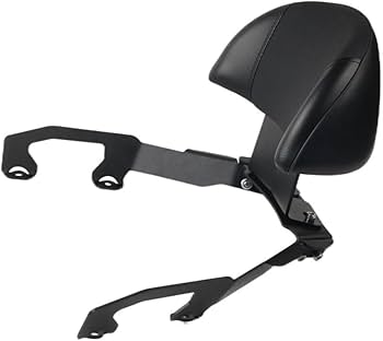 Amazon | 助手席背もたれ ホンダフォルツァ350 Z350 NSS350 2021