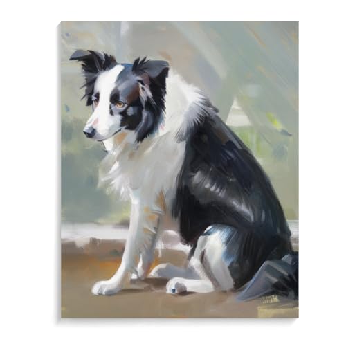 DIY Paint by Numbers Border Collie Dog on Canvas Painting Kits for Adult, Beginner Oil Painting Kits Gift 16x20inch(40x50cm) Frameless