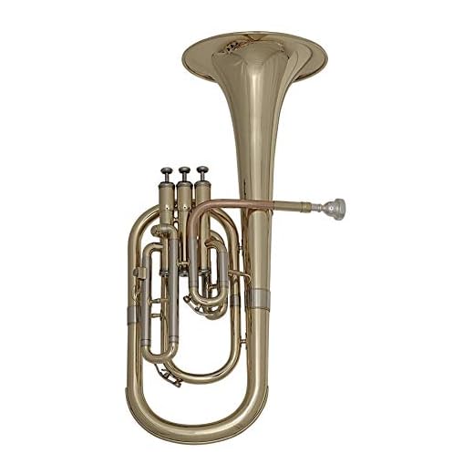Roy Benson Trompa Alto Mib AH-301 (Instrumento de viento profesional, con tudel de latón dorado, láminas exteriores de alpaca, válvulas de acero inoxidable y estuche de forma ligera)