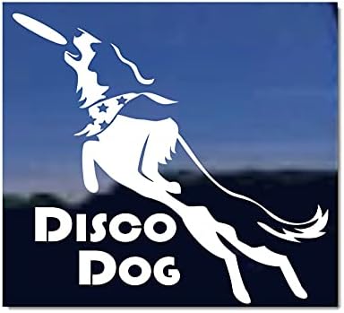 disco dog amazon