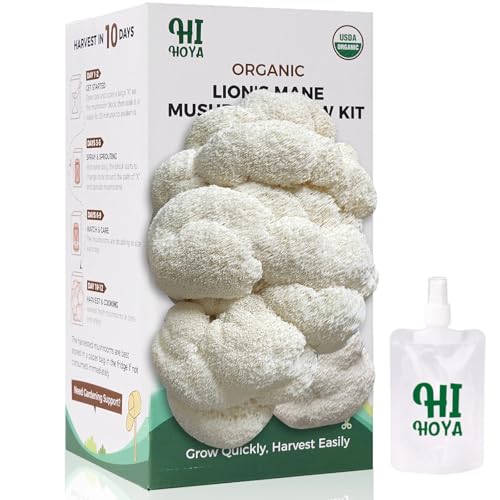Large Organic Lion's Mane Mushroom Grow Kit With Spray & Accessories, Fresh E...