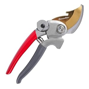 SK5 Snoeischaar met bypass-snijkant voor planten en vers hout tot 20 mm diameter, SK5 lemmetstaal, uitgesproken veiligheidsslot, antislip handgrepen, tuingereedschap voor takken en takken