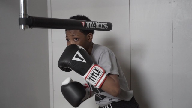 Amazon.com : TITLE Boxing Rapid-Reflex Boxing Bar - Freestanding
