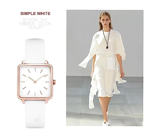 Basfur Dress Watch Fe-Montre-077-01