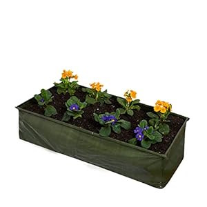GOLDBEARUK Verhoogde Bed Planter – Patio bloem Bed – Plat Pack Planter Medium 100 x 45 x 25cm