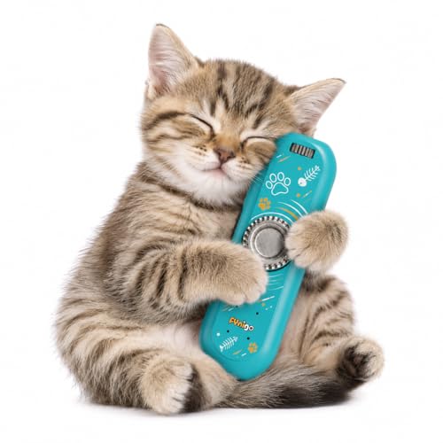 FYNIGO Jouets interactifs pour chats d'intérieur adultes et chatons, rotation des doigts, jouet rechargeable avec 4 modes et 5 motifs amusants