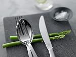 ZWILLING Soho 20 Piece Polished 18/10 Stainless Steel Flatware Utensils Set - Service for 4, Silver