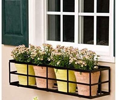 24 Inch Simple Elegance Window Box Cage only