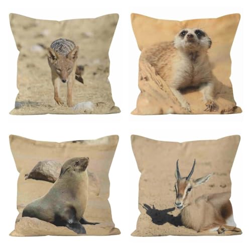 Housse coussin 50x50cm lin impermeable taie d'oreiller rectangulaire ecureuil CEVAN - 2