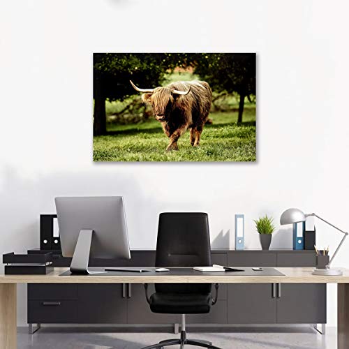 Poster vache Highland sur toile pour transformer un mur vide 40x60 - 5