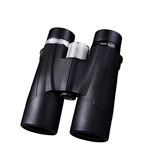 Binoculares Compactos 10X42 para Adultos