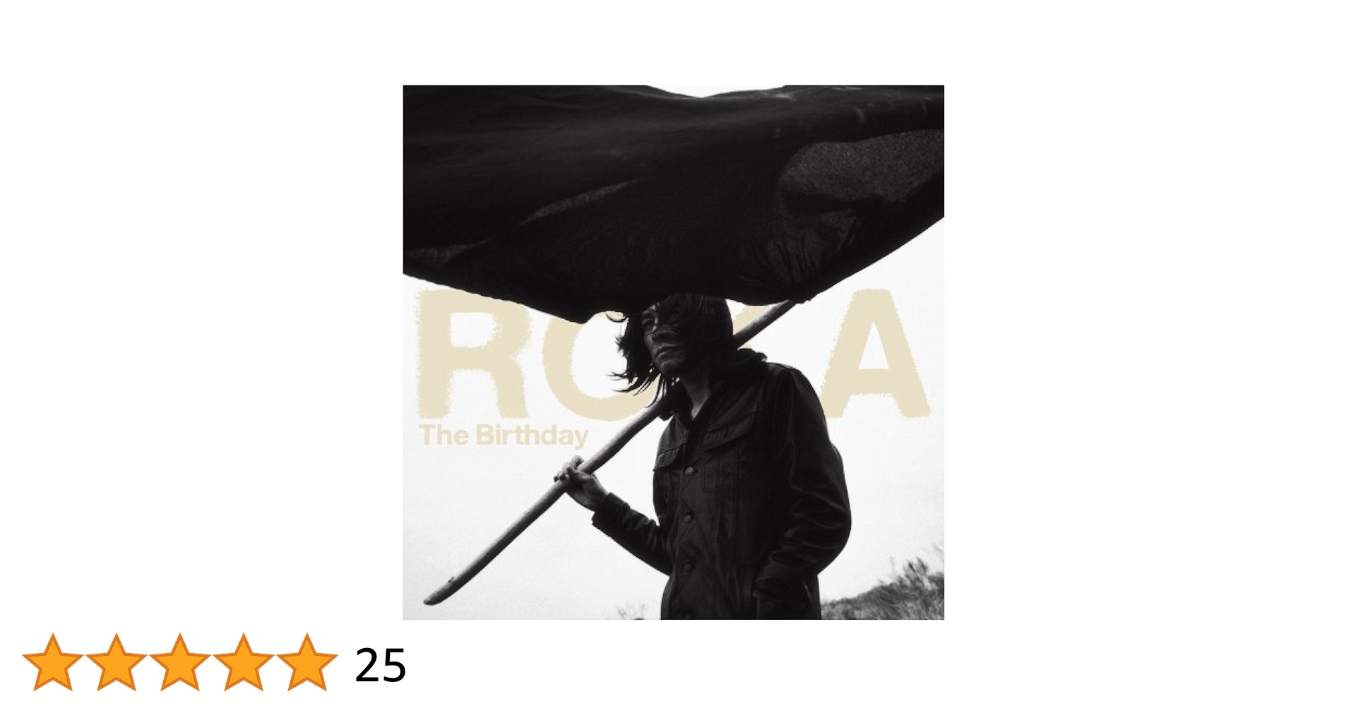 ROKA The Birthday レコード　チバユウスケ ROKA The Birthday レコード チバユウスケ