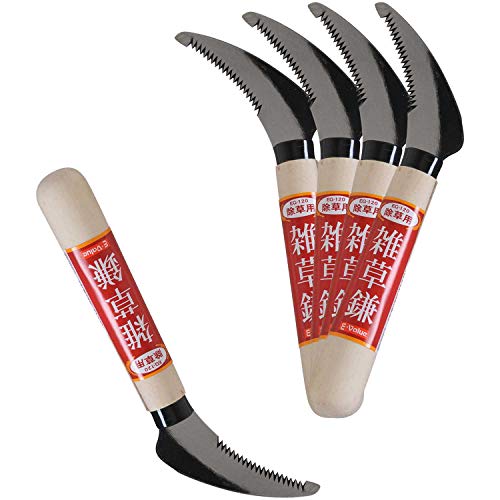 E-Value �G���� EG-120 �i�܂Ƃߔ���5�Z�b�g�j