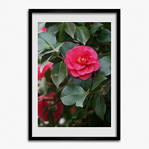 Cadre photo 50x70 cm Tulup pour suspendre facilement vos affiches