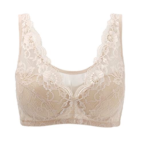 |PbghALbg BXChhApgbNANbNI[v \tgN[Yobt@[|PbghApAubNgbN X[YŐÂɊJpg[[pN[[bghALbg(9.5ft(289.6cm))