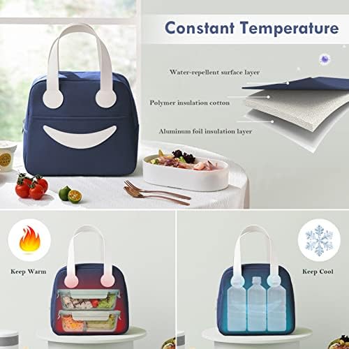 Insulated Lunch Bag for Men Tote Bag Easy Clean Lunch Box Bag Suitable for Boys Kids.
