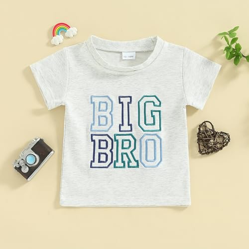 Dcohmch Big Brother Little Sister Matching Outfits Letter Embroidery Shirt Tops Summer Baby Boy Girl Clothes2